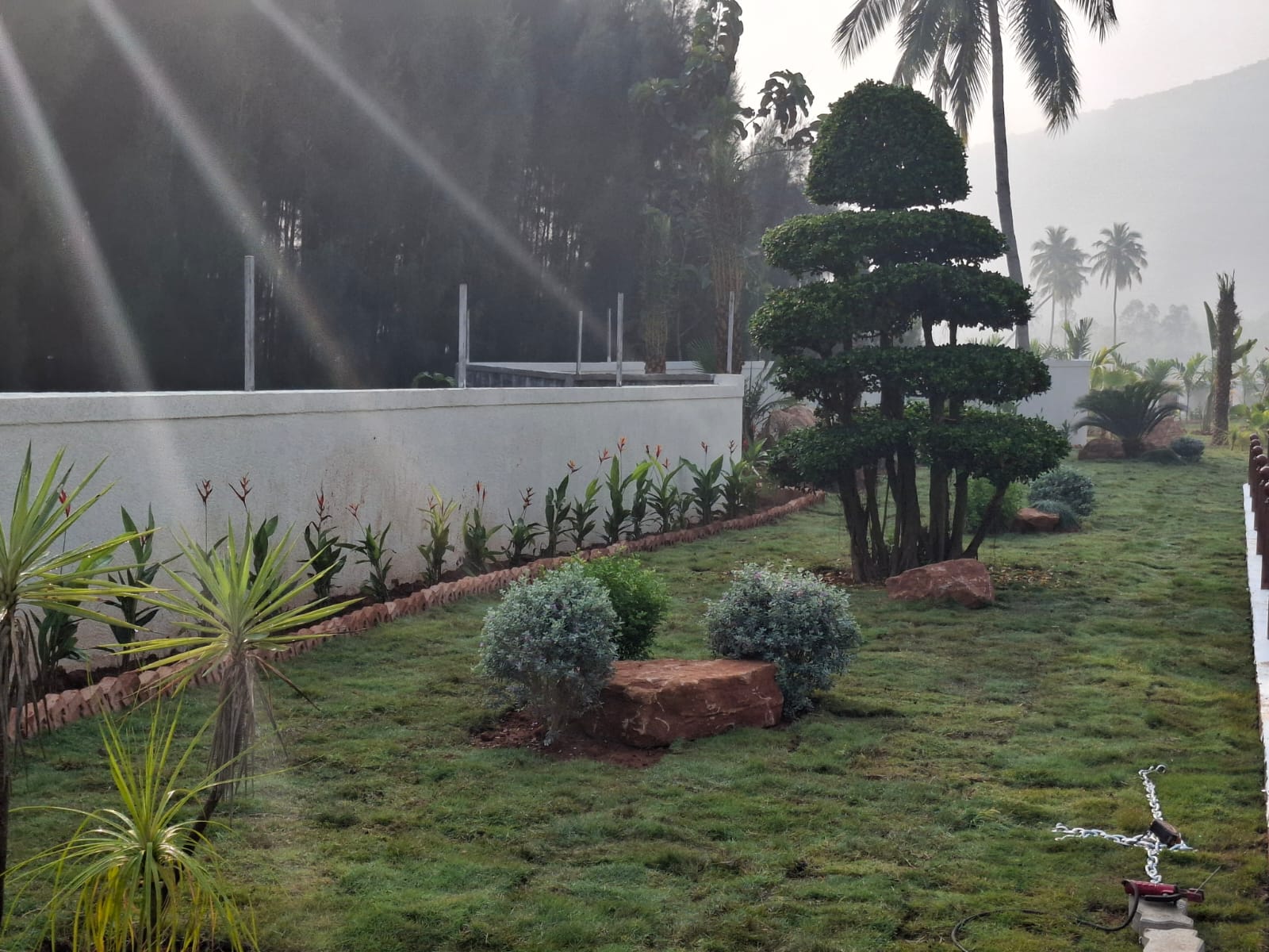Manicured garden with topiary